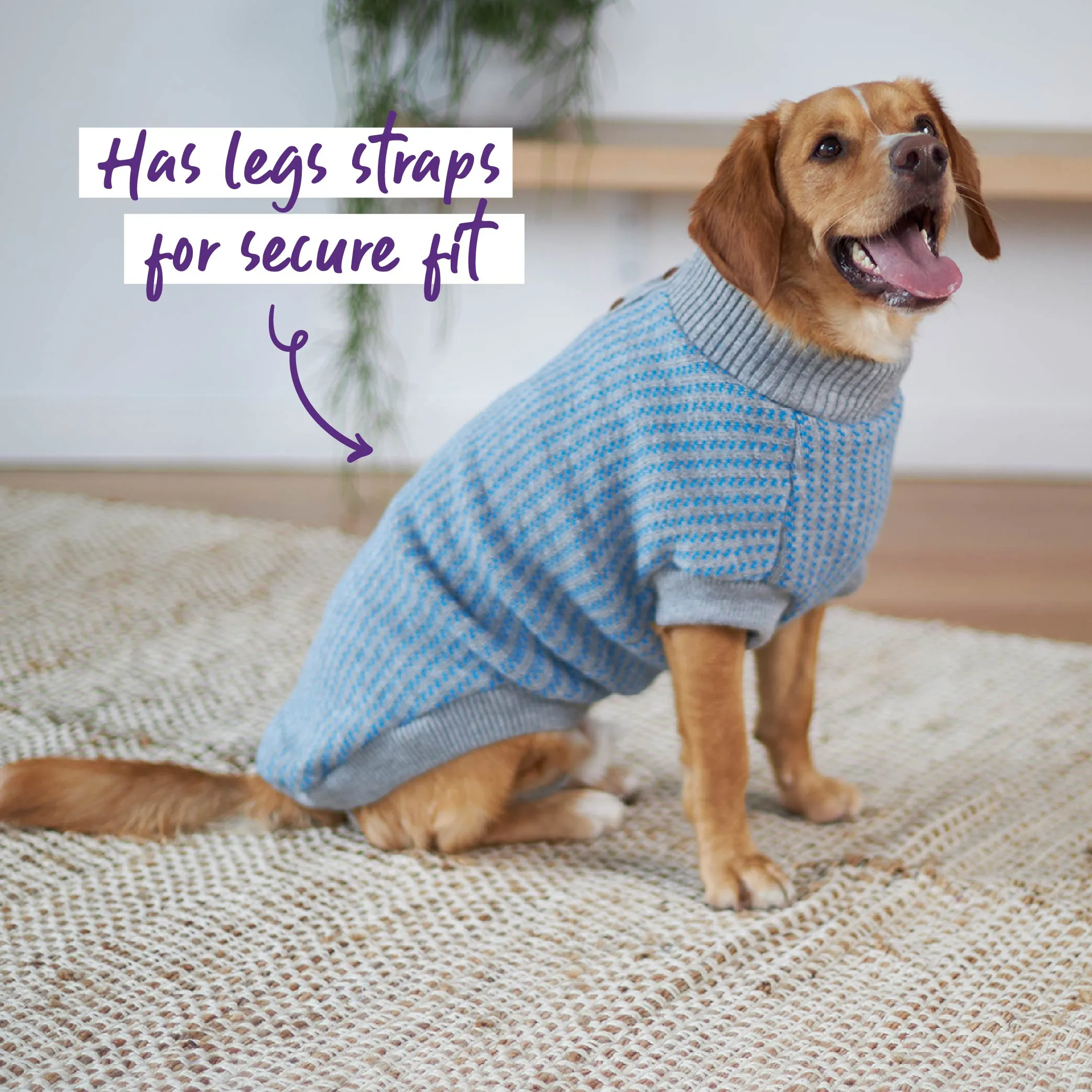 Blue Button Up Knit Dog Jumper