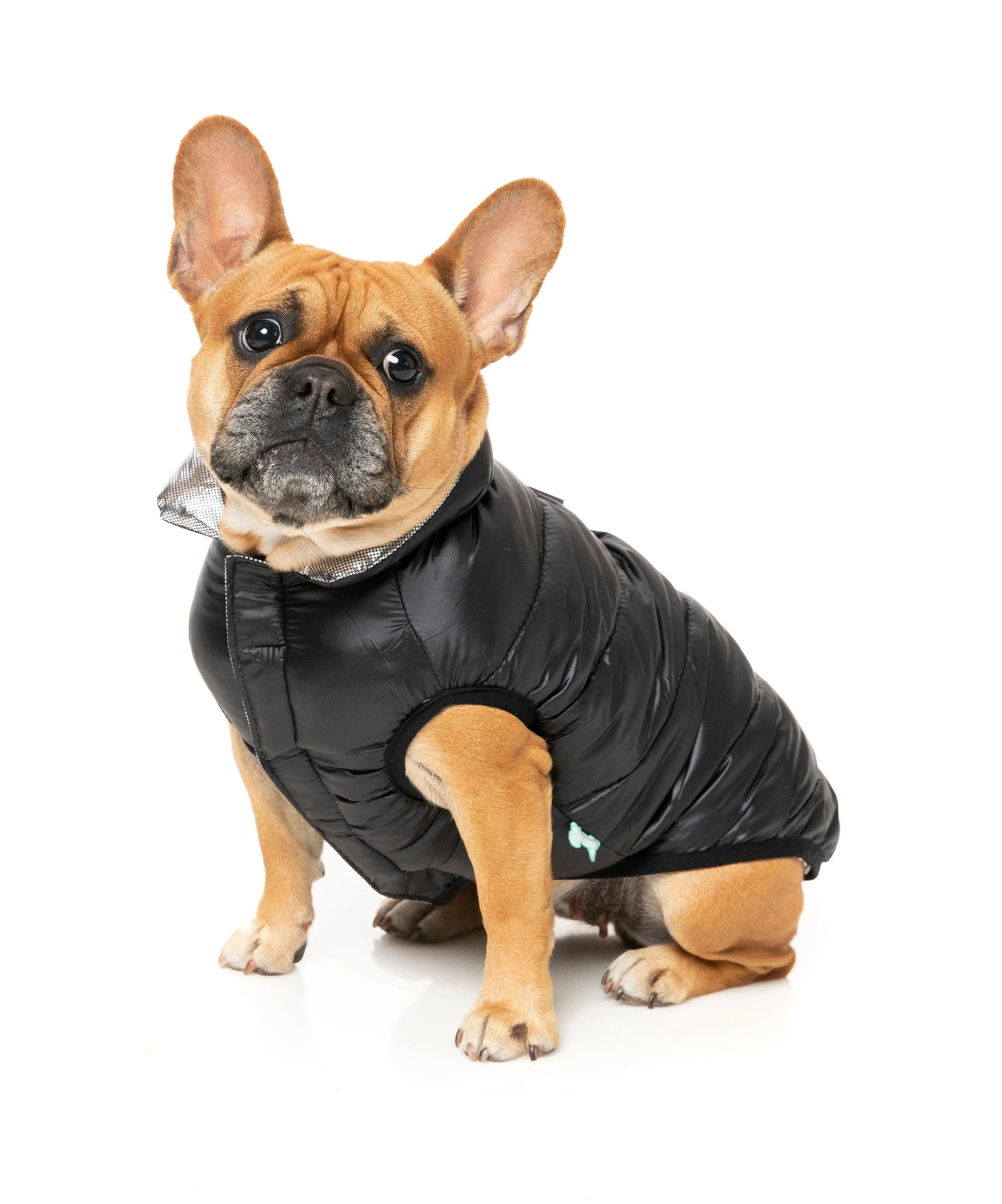 FuzzYard Hakuba Dog Jacket Black