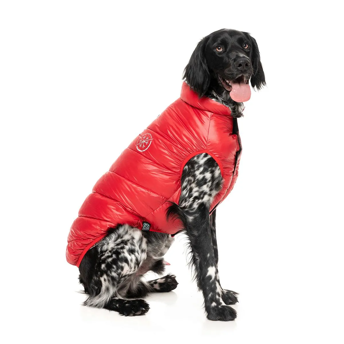 FuzzYard Hakuba Dog Jacket Red