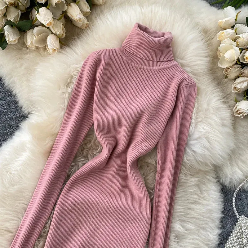 Turtleneck Knitted Bodycon Dress