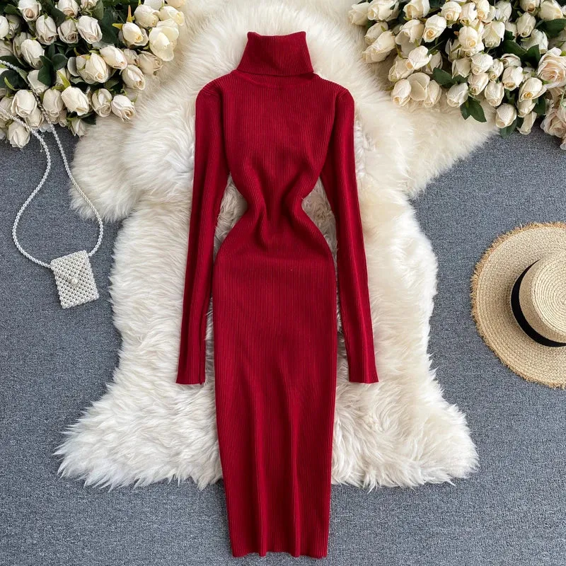 Turtleneck Knitted Bodycon Dress