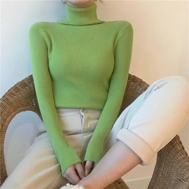 Turtleneck Pullover Ribbed Jumper